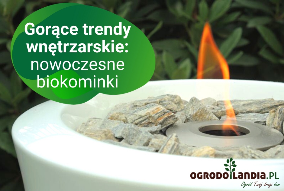 Gorące trendy wnętrzarskie: nowoczesne biokominki