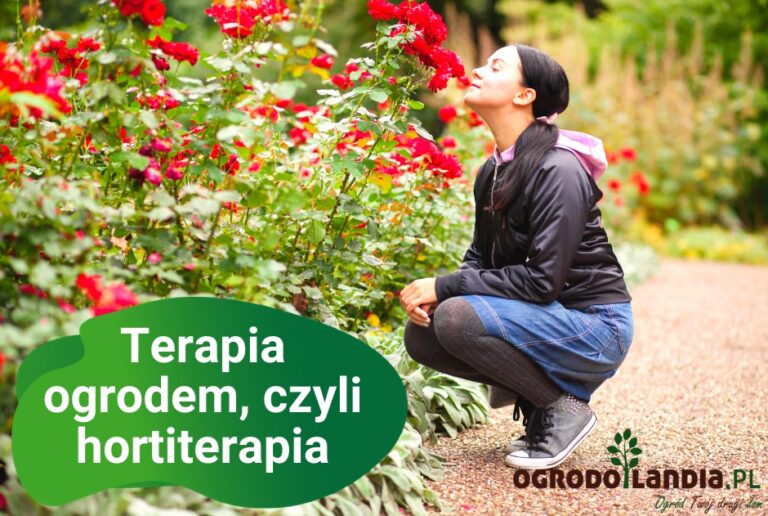 Terapia ogrodem – hortiterapia