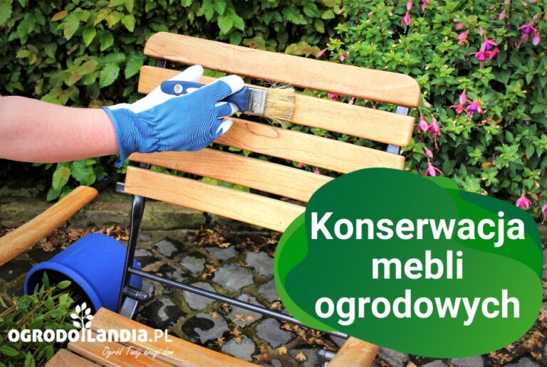 Konserwacja mebli ogrodowych – zachowaj urok mebli na dłużej!