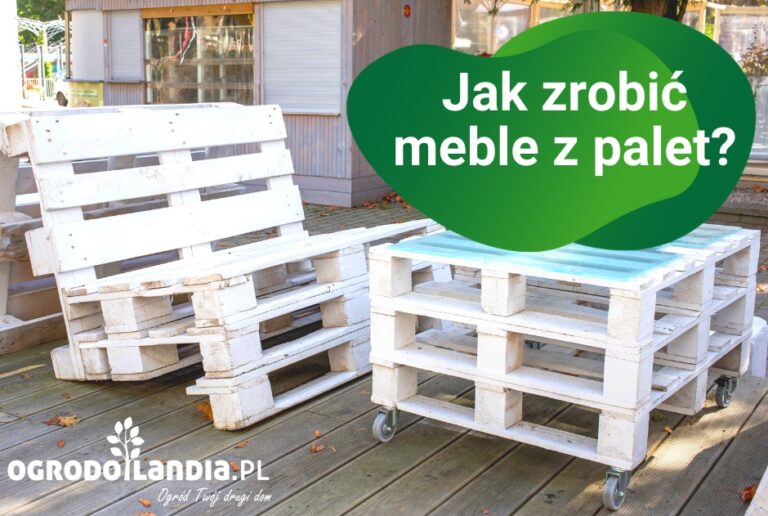 Jak zrobić meble z palet – pomysł na ekologiczne wyposażenie tarasu i ogrodu