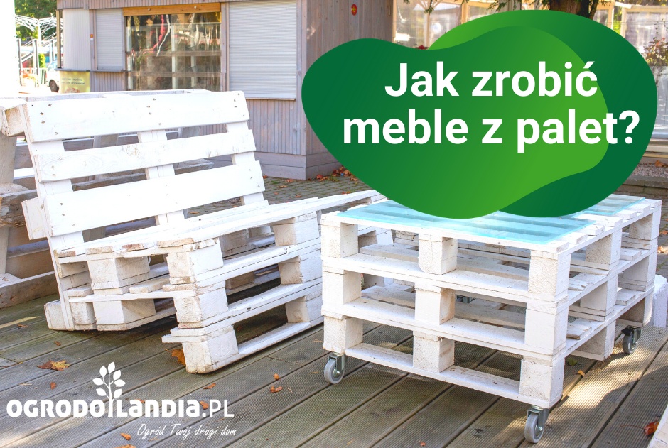 Jak zrobić meble z palet