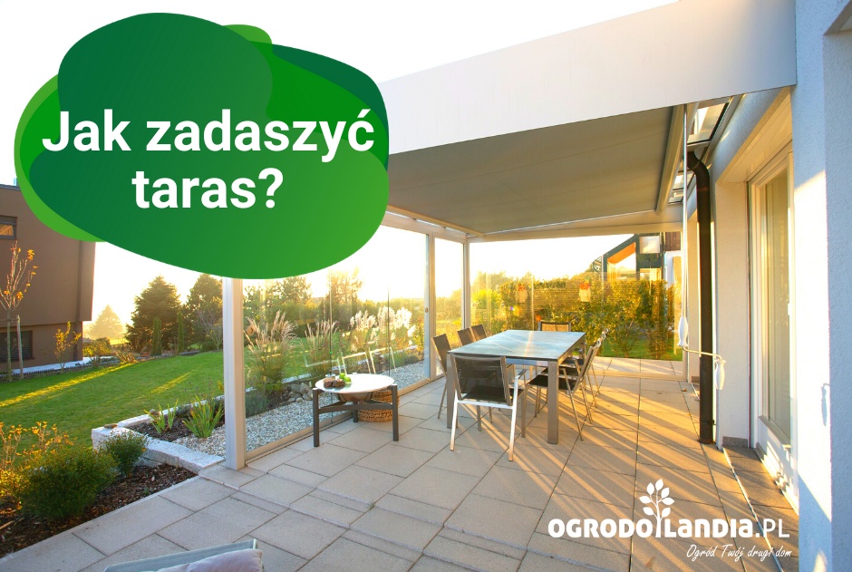 Jak zadaszyć taras