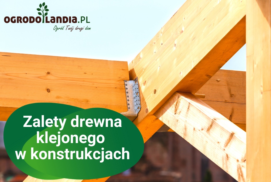 Zalety drewna klejonego w konstrukcjach