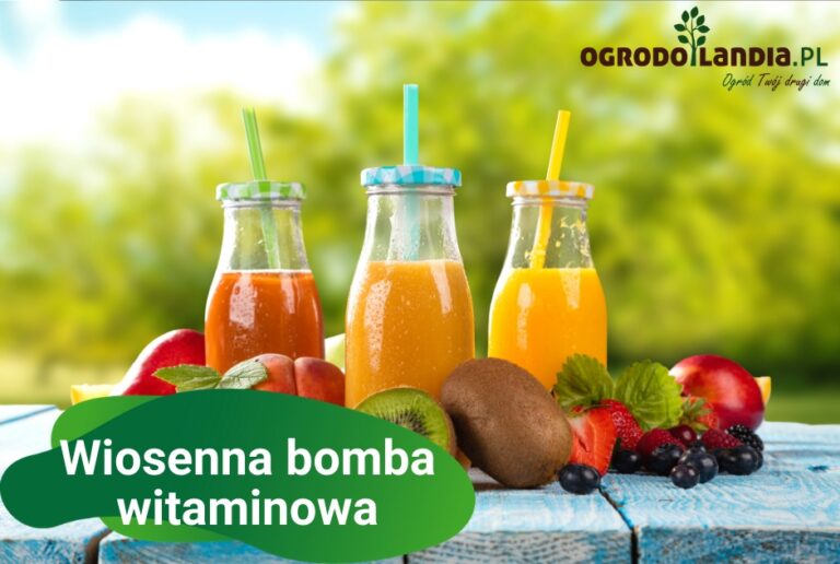 Witaminowe koktajle