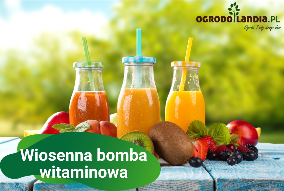 Wiosenna bomba witaminowa