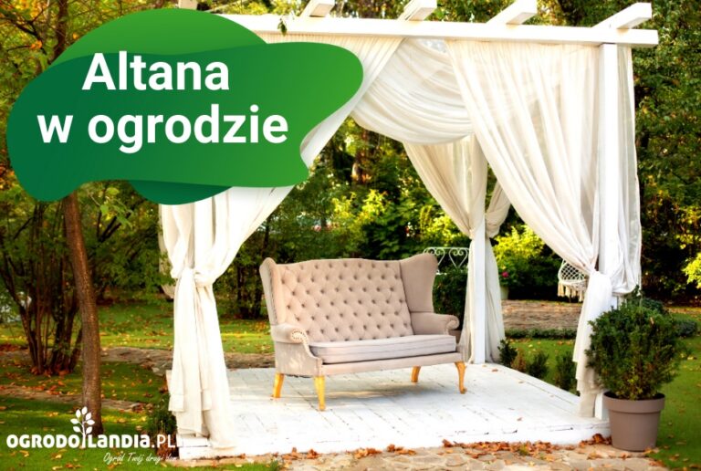 Altana w ogrodzie – jak dobrać i gdzie umieścić altanę by stworzyć wyjątkowe miejsce do wypoczynku?