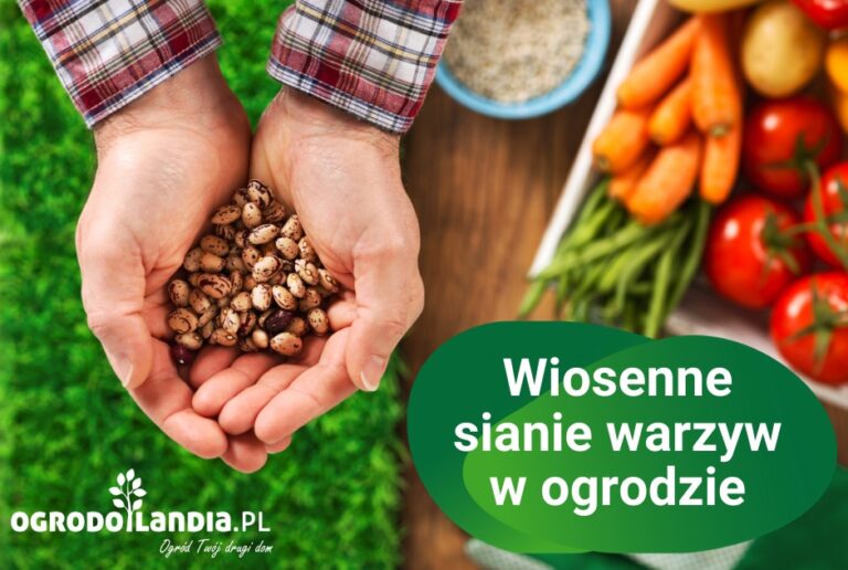 Współrzędna uprawa roślin