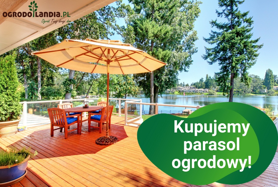 Kupujemy parasol ogrodowy