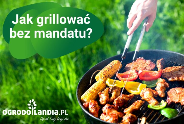 Jak grillować bez mandatu? – Przepis na grillowanie zgodnie z prawem