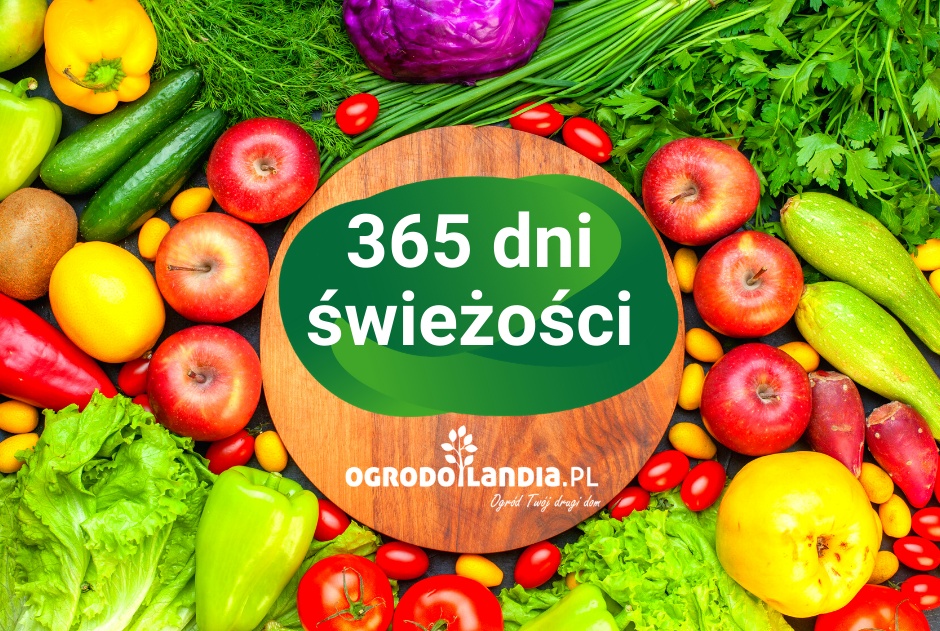 365 dni świeżości