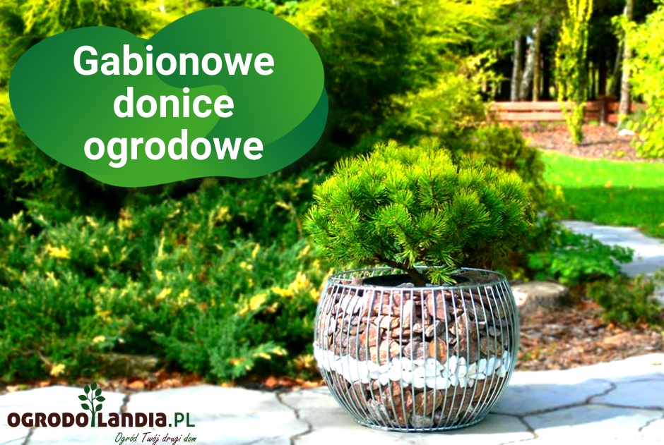 Gabionowe donice ogrodowe