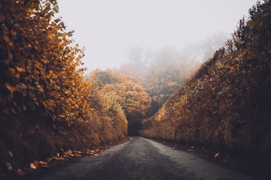 tunel z grabu