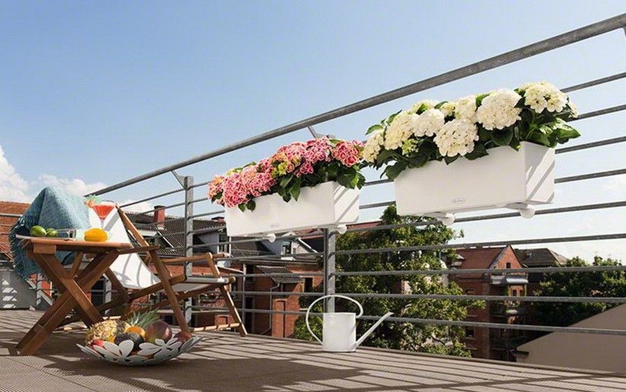 poziomki w donicy Cascada Color