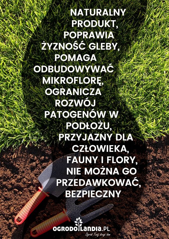 biohumus - infografika