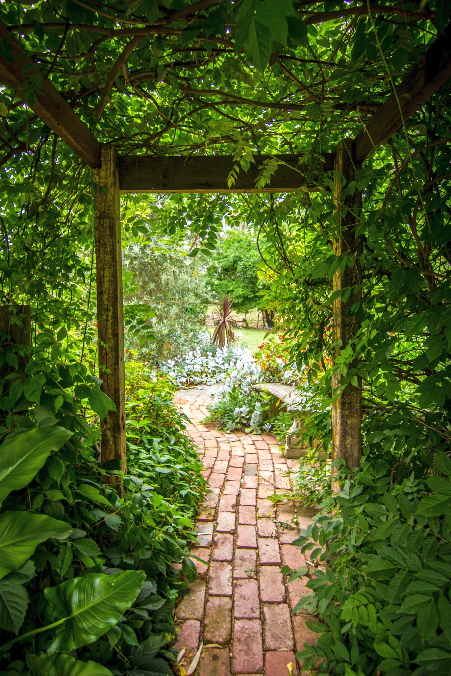 ścieżki z kostki w bujnym ogrodzie