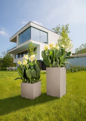 donice z paciorecznikiem