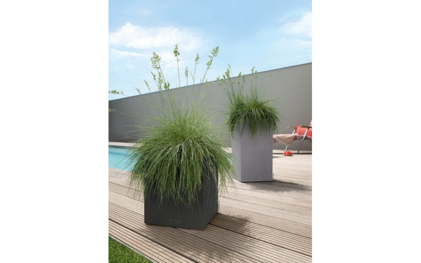 trawy ozdobne w kwadratowych donicach