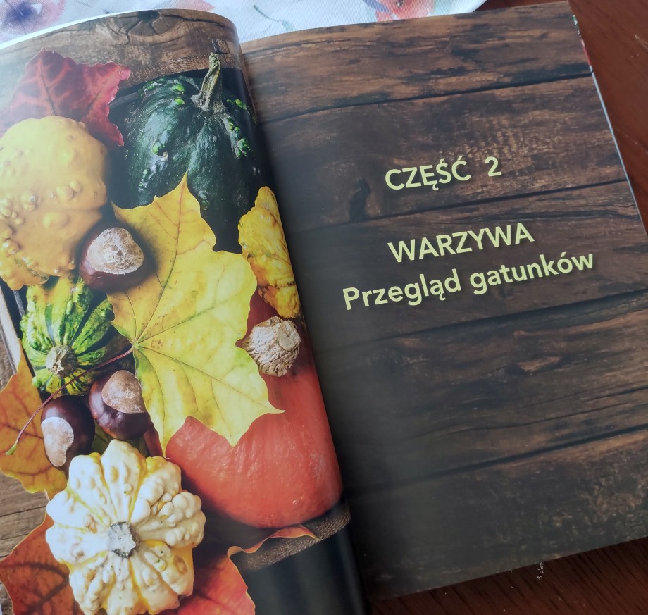 jeden z rozdziałów książki Miejski ogród