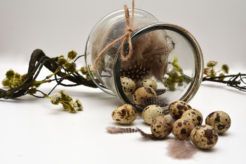 dekoracja z małymi jajeczkami