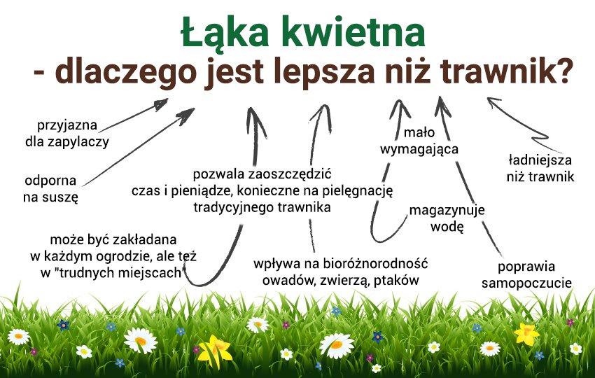 łąka jesienią