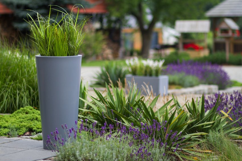 trawa ozdobna w okrągłej donicy