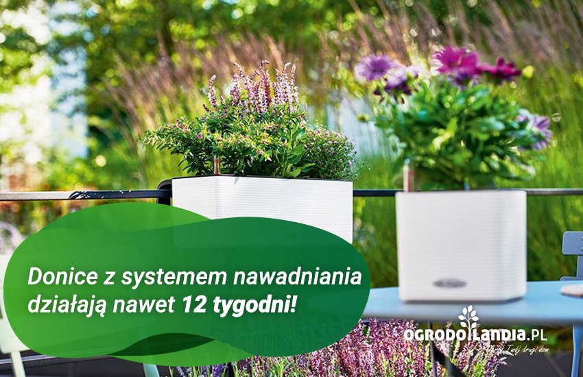 brokatowe doniczki z systemem nawadniania