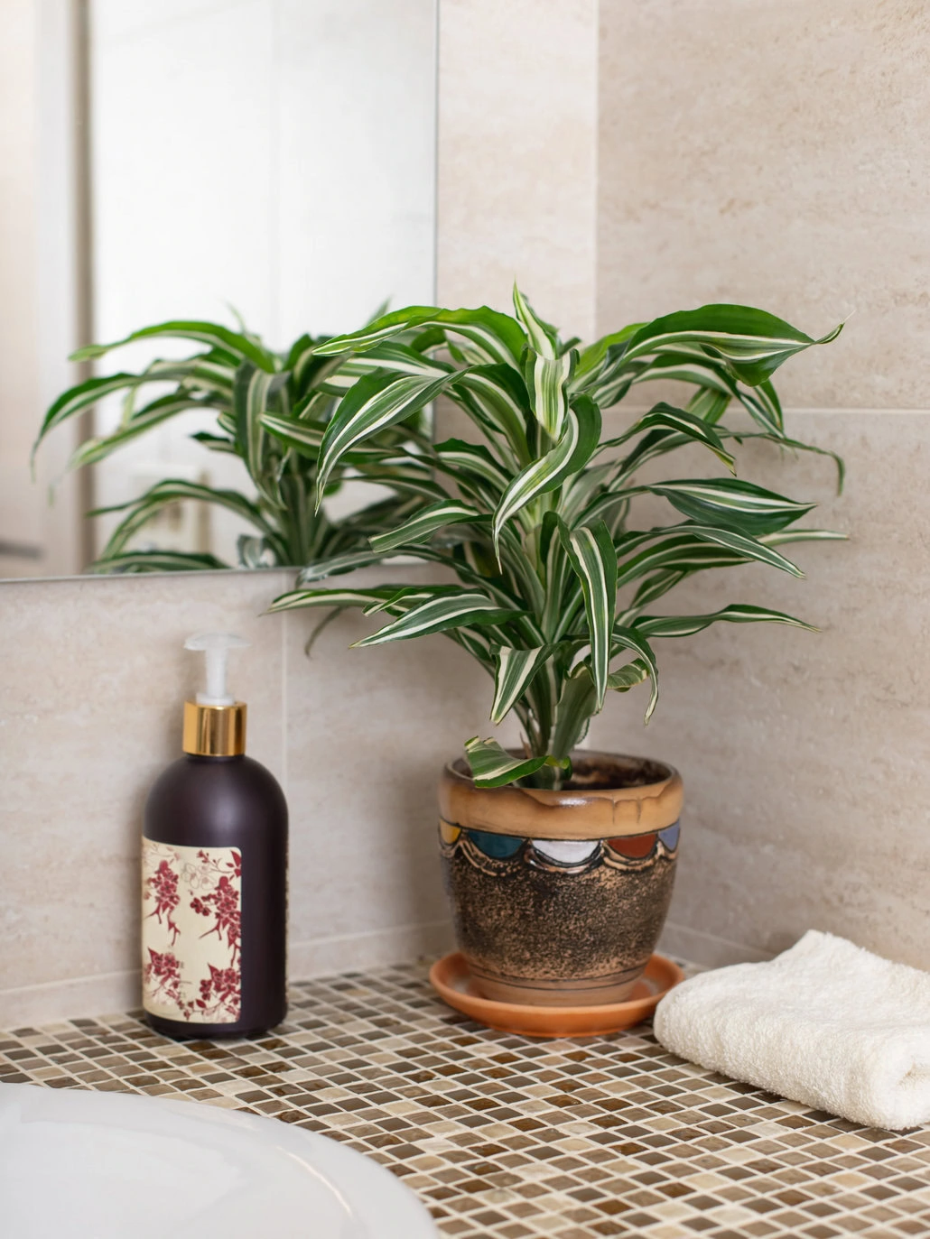 Dracena w rogu łazienki