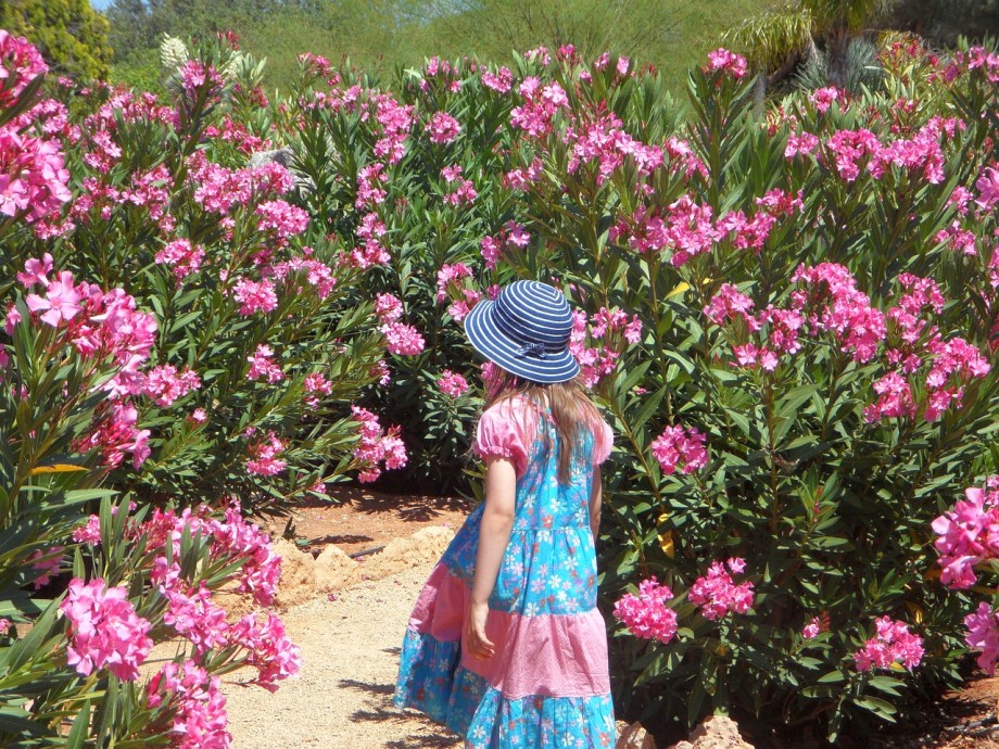 dziewczynka na tle oleandra