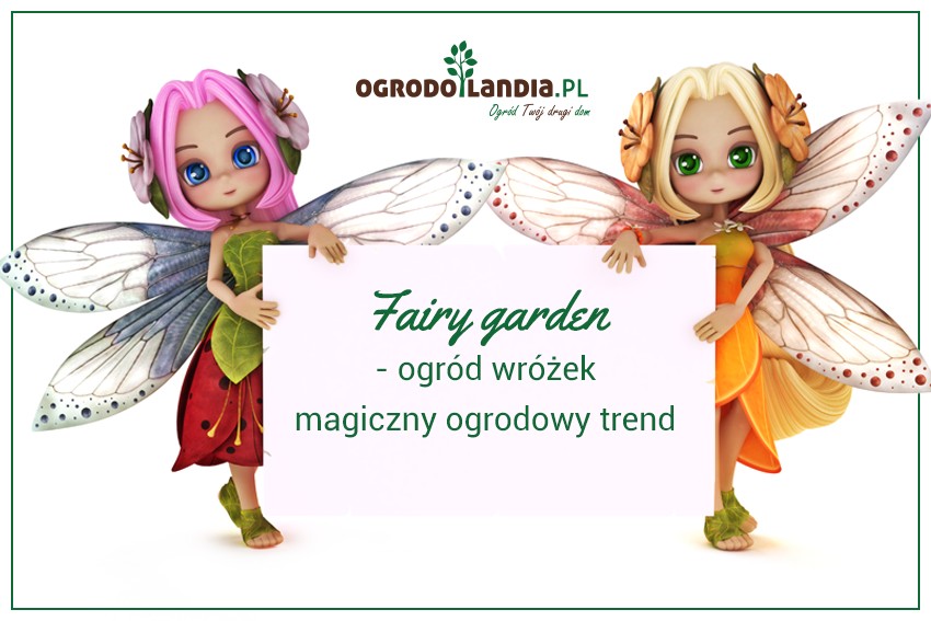 fairy garden