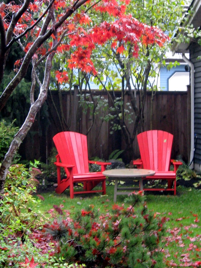 czerwone fotele ogrodowe w ogrodzie jesienią