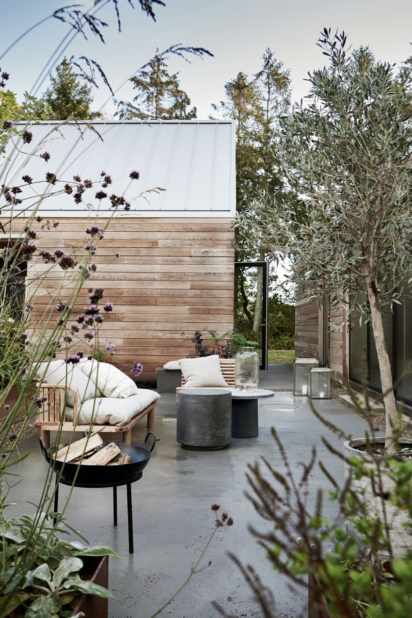 ogród i taras w nowoczesnym stylu