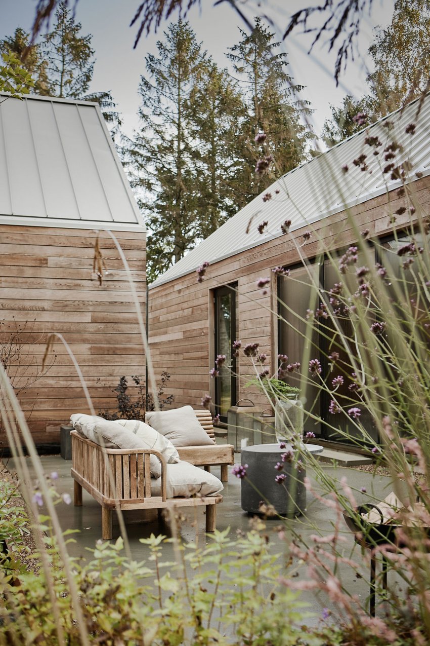 ogród i taras w nowoczesnym stylu