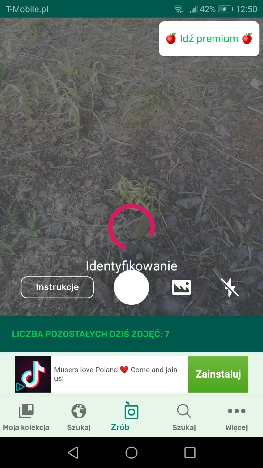 identyfikacja rośliny przez plantsnap