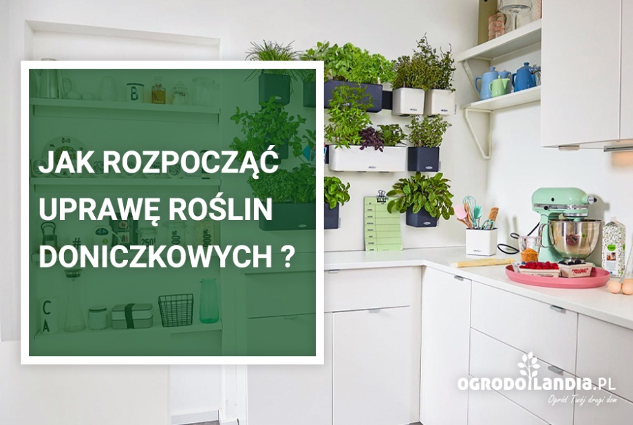 doniczka w kolorze szarym