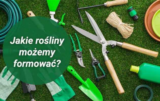 jakie rośliny możemy formować