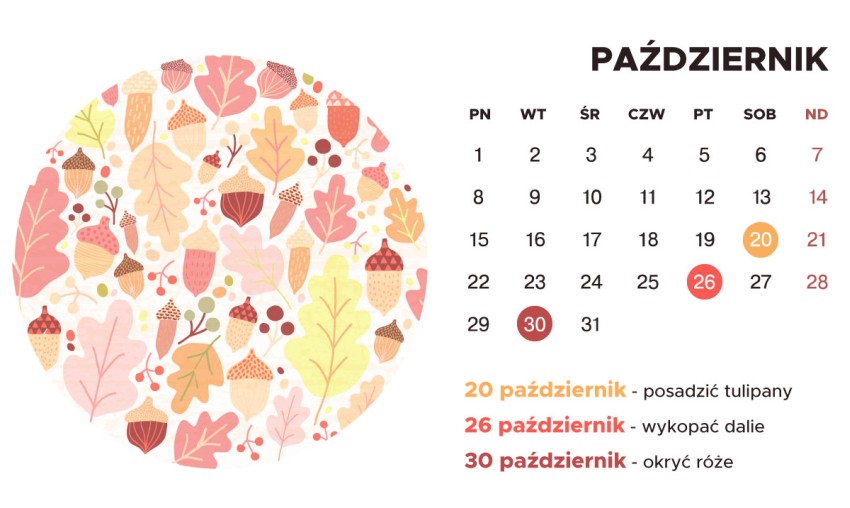 kalendarz ogrodniczy na październik