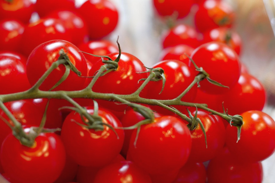 pomidorki koktajlowe