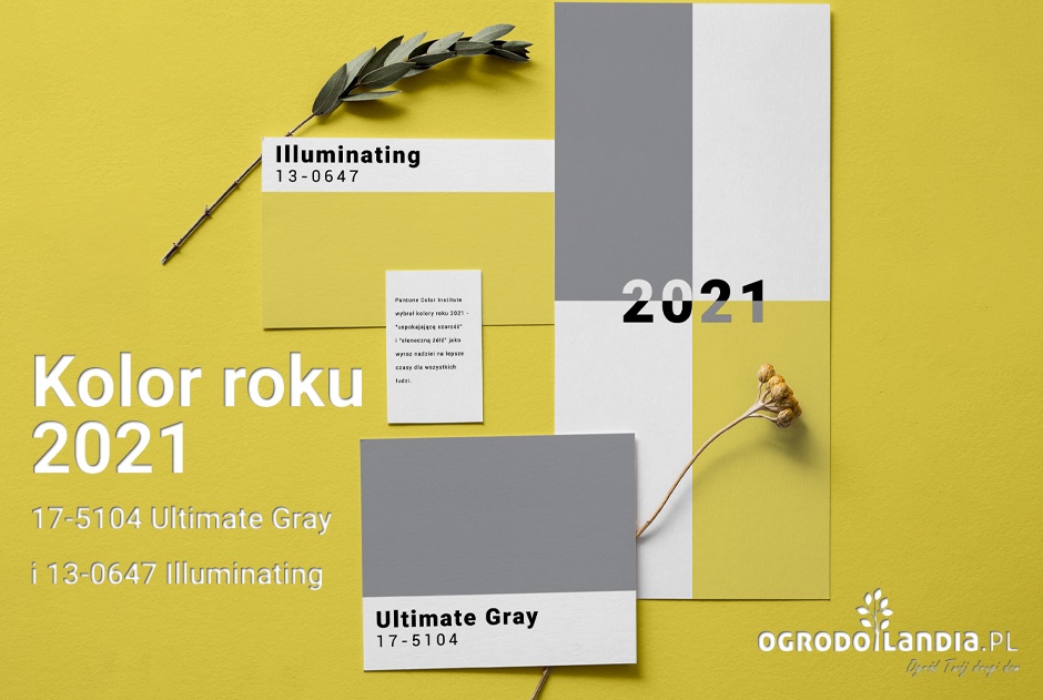 paleta barw pantone