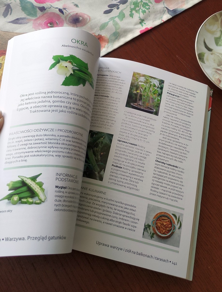 otwarta książka Miejski ogród