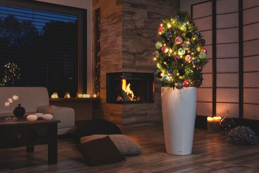 sosna w wydaniu świątecznym w donicy lechuza rondo