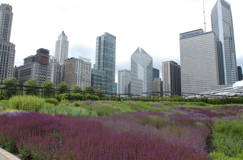 Lurie-Garden