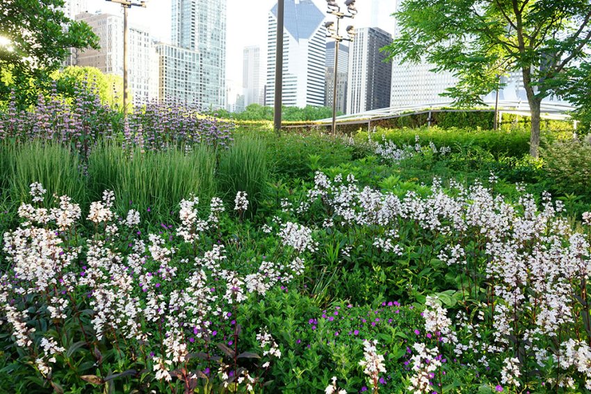Lurie-Garden