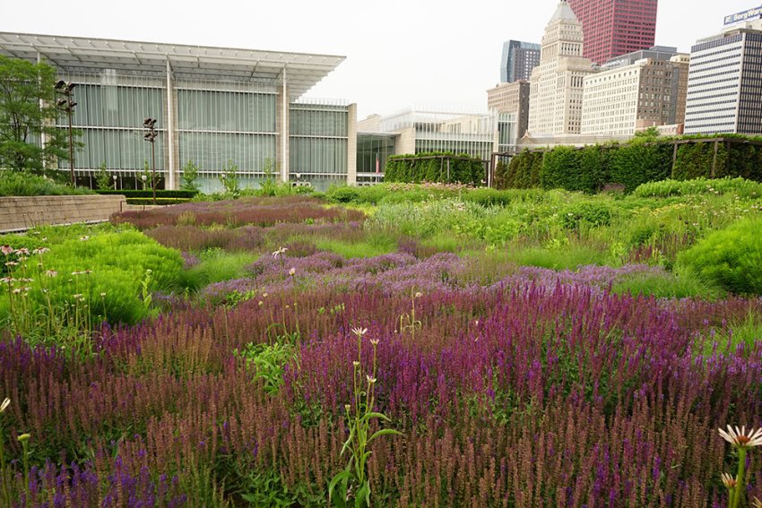 Lurie-Garden
