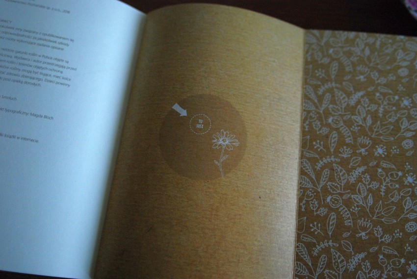 miejsce na suszenie ziół