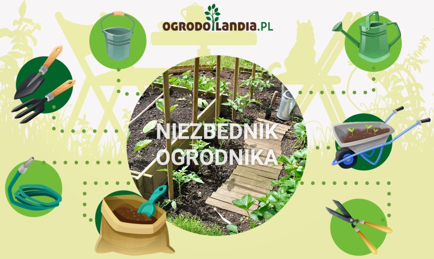 niezbędne narzędzia ogrodnika