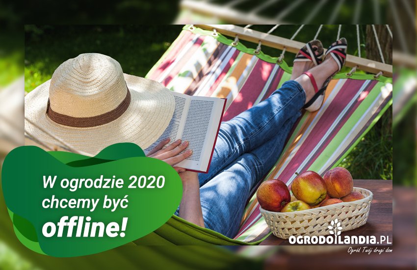 medytacja w ogrodzie