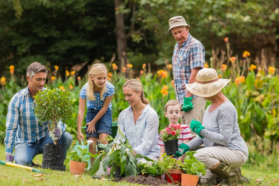 tabliczka z napisem ogród sensoryczny stojąca w ogrodzie