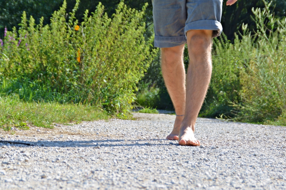 mężczyzna przy krzaku róży