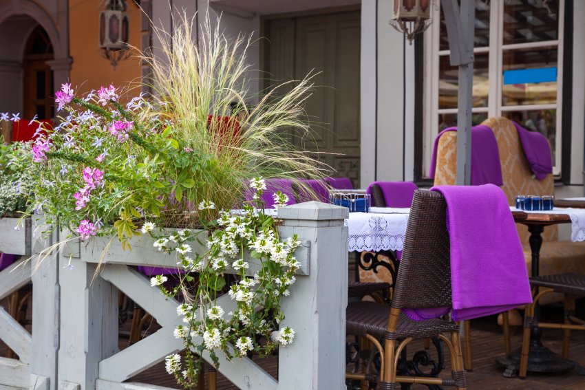 ogródek przy restauracji z kompozycjami w donicach