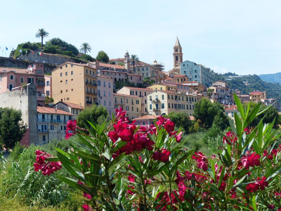oleander na tle miasteczka